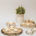 Vela Té 50 unidades