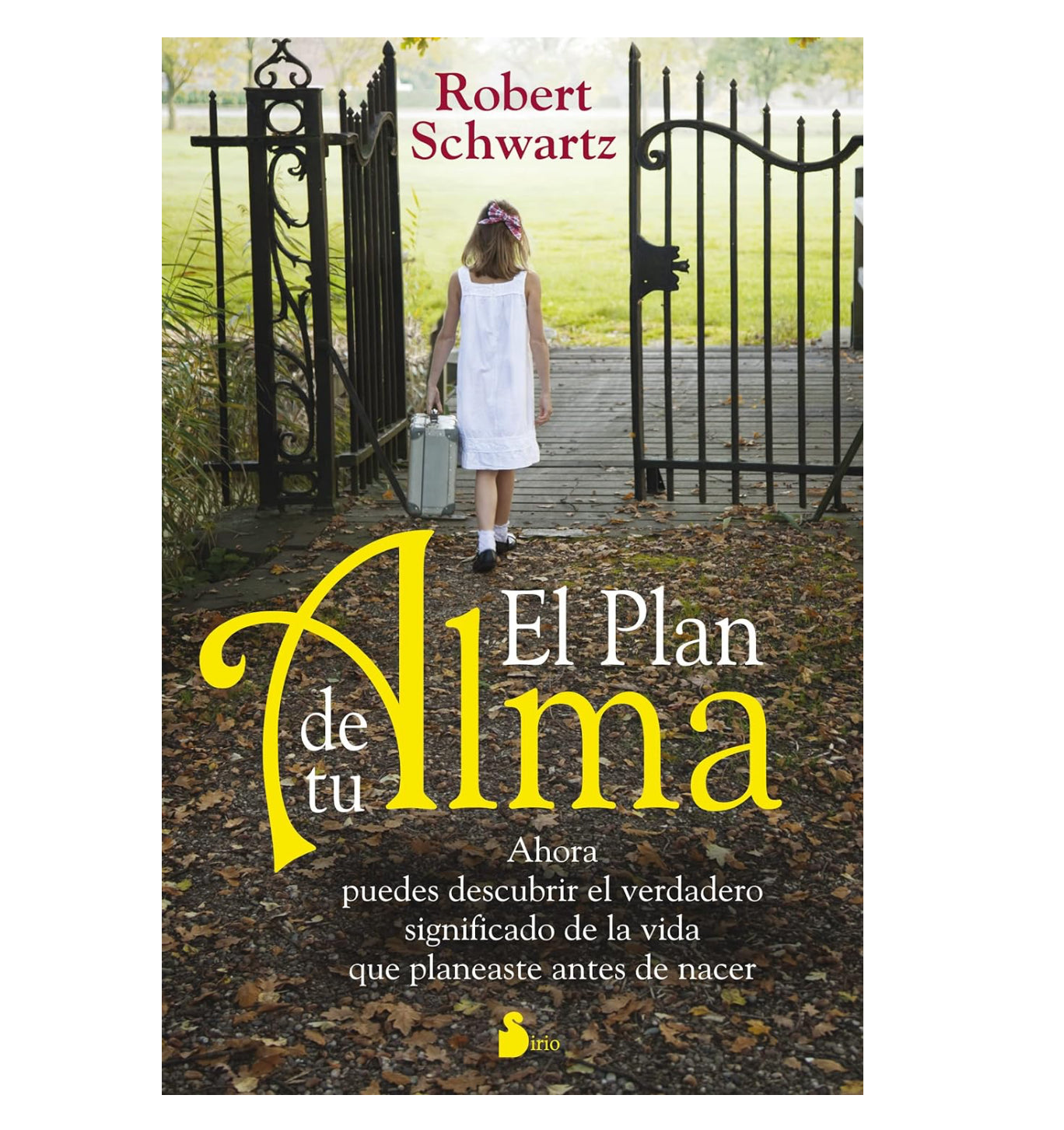 Libro El Plan de tu Alma