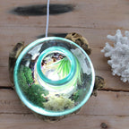 Madera natural con cristal - Pecera Grande